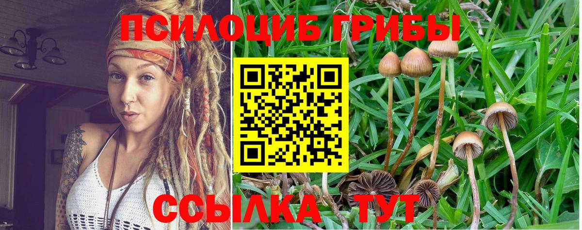 Галлюциногенные грибы GOLDEN TEACHER Грозный