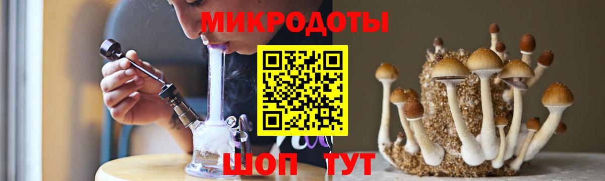 Грозный  Псилоцибиновые грибы мухоморы  Вход с VPN  Псилоцибиновые грибы ЛСД 